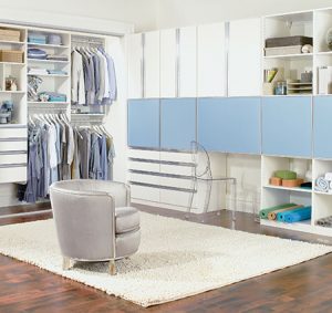 Living Room Storage Living Room Cabinets California Closets